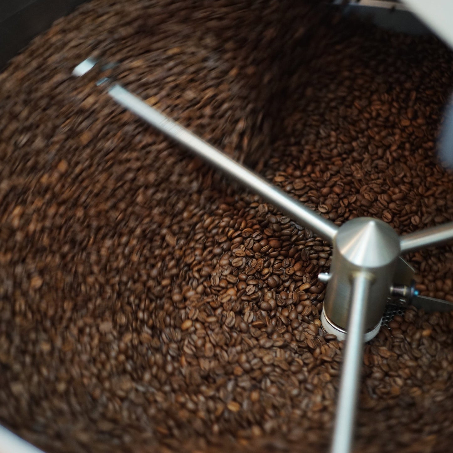 【Guatemala】Finca Lomas Altas 35oz