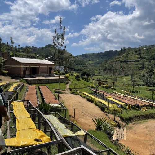 【Rwanda】Rugali CWS 35oz