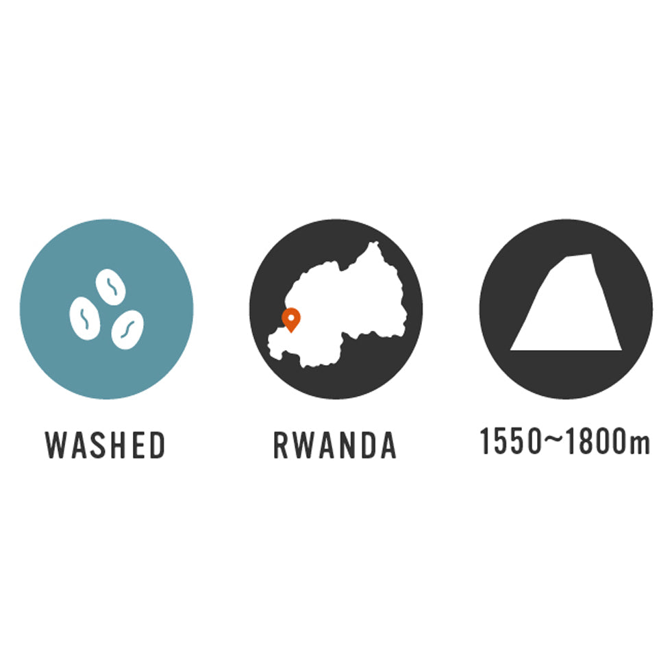 【Rwanda】Rugali CWS 7oz