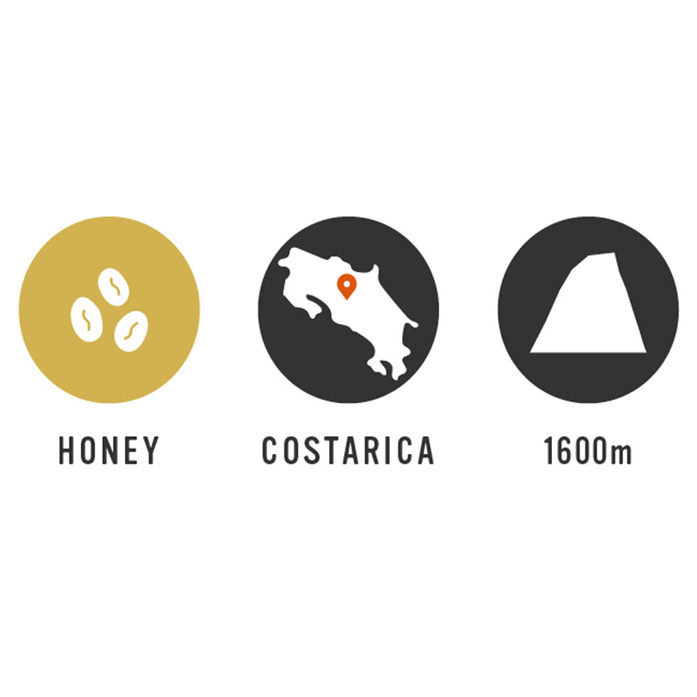 【Costa Rica】La Rosa 35oz