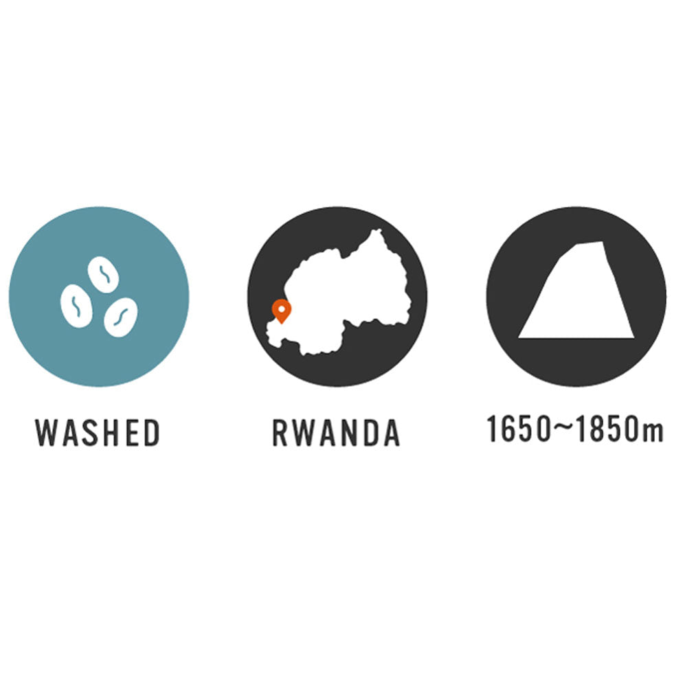 【Rwanda】Kilimbi CWS 35oz