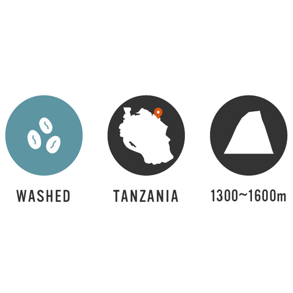 【Tanzania】Mwika North AMCOS 7oz