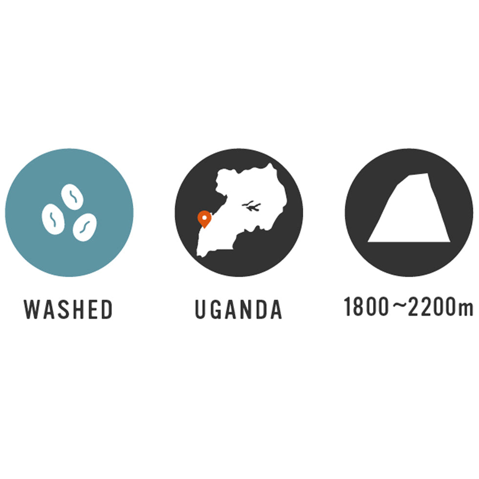 【Uganda】Nyabirongo WS 7oz