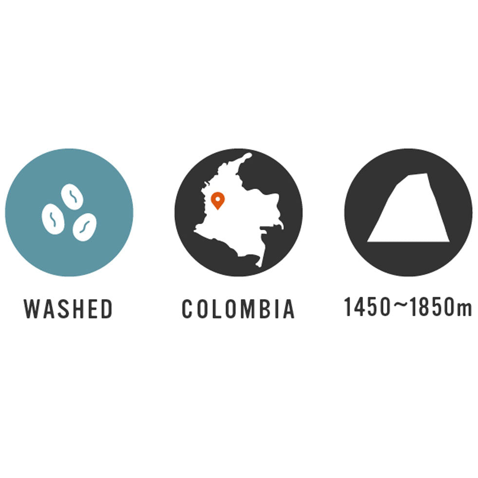 【Colombia】Quindio 35oz