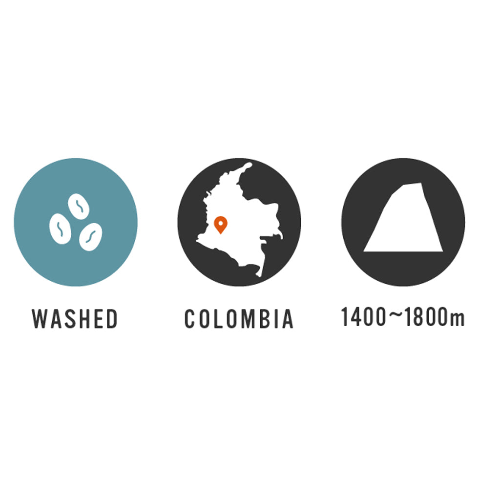 【Colombia】Finca El Diviso 35oz