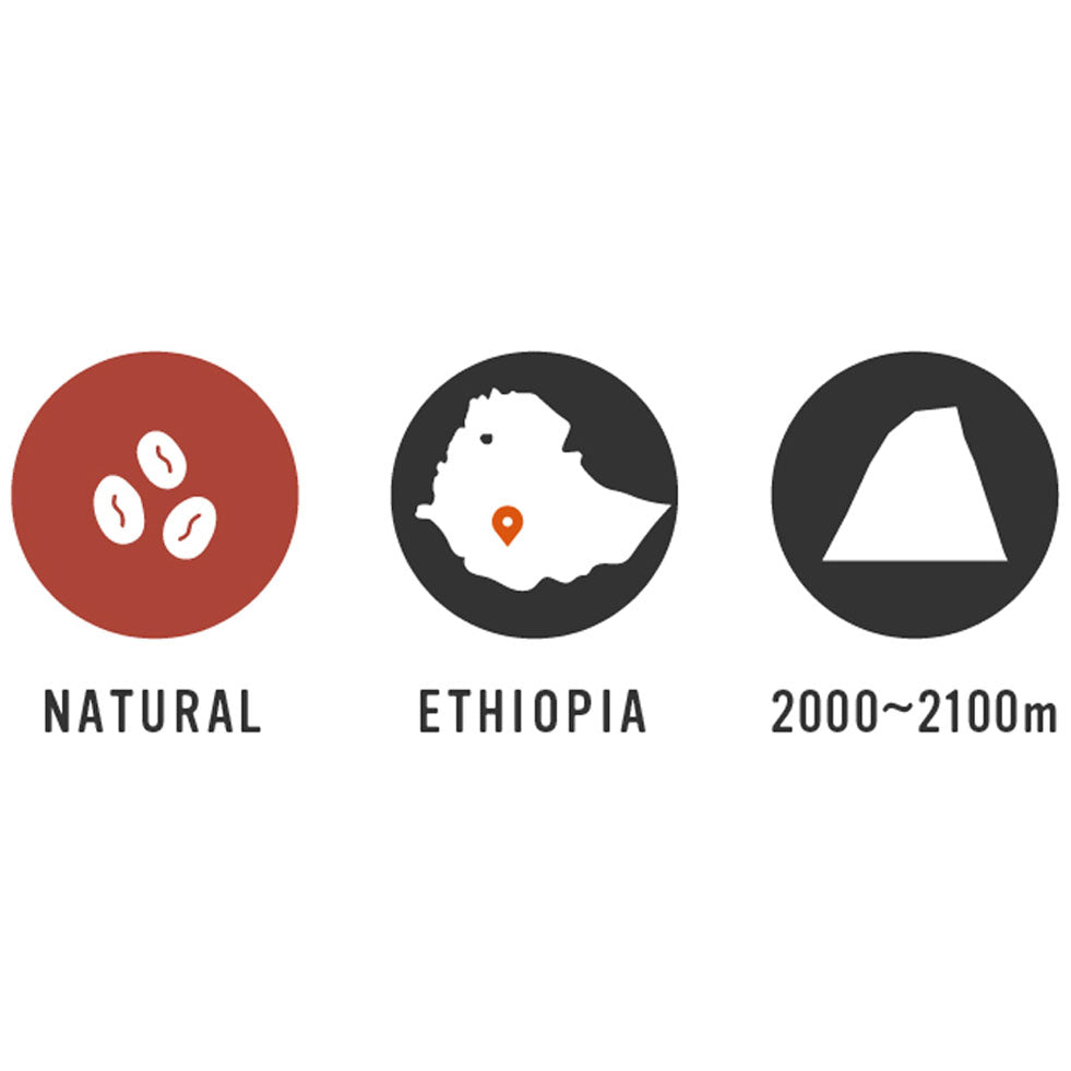 【Ethiopia】Taratu WS 35oz