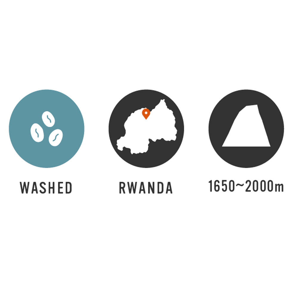 【Rwanda】Bumbogo CWS 7oz