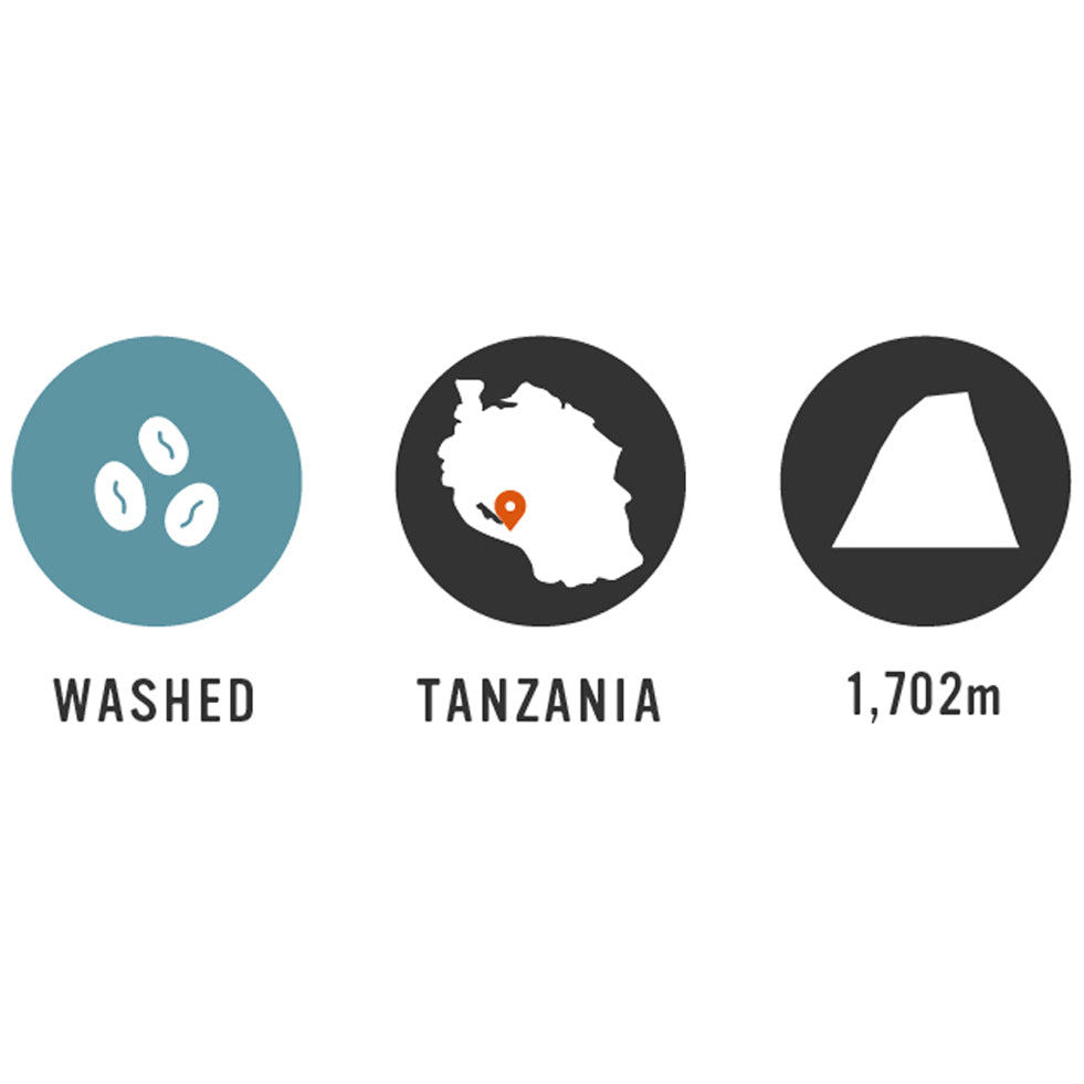 【Tanzania】Iyula AMCOS 35oz